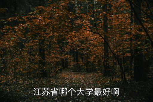 江蘇省哪個大學最好啊