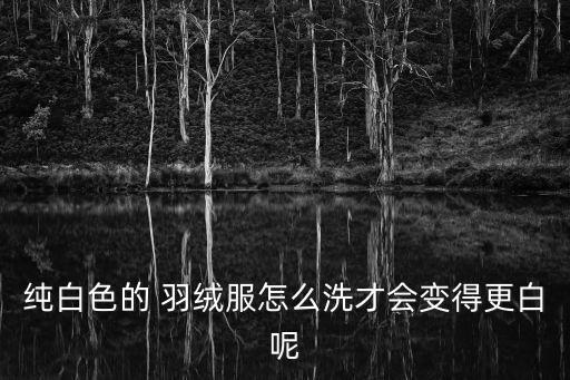 純白色的 羽絨服怎么洗才會變得更白呢