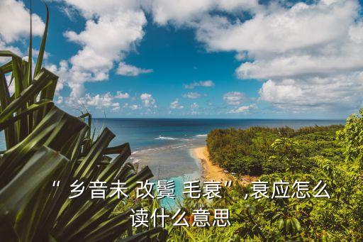 “ 鄉音未 改鬢 毛衰”,衰應怎么讀什么意思