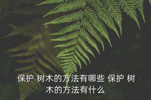 保護樹木的方法,樹上筑巢吸引鳥類防止害蟲侵入