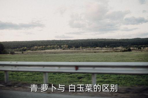 青 蘿卜與 白玉菜的區別