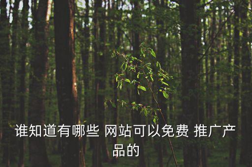 產(chǎn)品推廣網(wǎng)站,網(wǎng)絡(luò)營銷知多少?問與答（20）