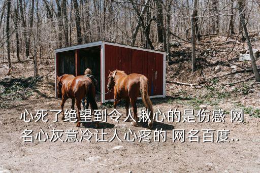 心死的網名,第二集:可愛又盲目