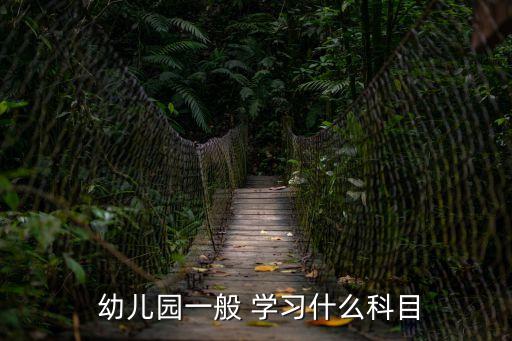  幼兒園一般 學(xué)習(xí)什么科目