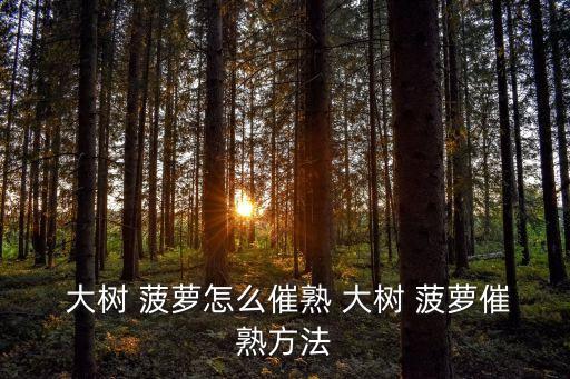 大樹 菠蘿怎么催熟 大樹 菠蘿催熟方法