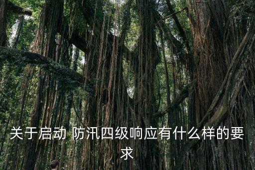 關(guān)于啟動 防汛四級響應(yīng)有什么樣的要求