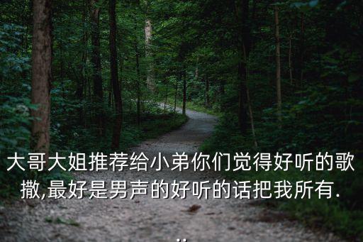 大哥大姐推薦給小弟你們覺得好聽的歌撒,最好是男聲的好聽的話把我所有...