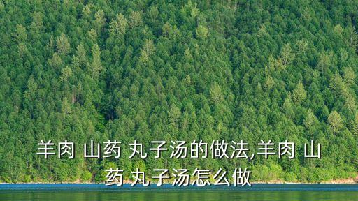 羊肉 山藥 丸子湯的做法,羊肉 山藥 丸子湯怎么做