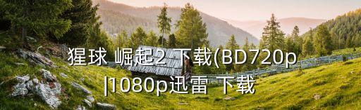  猩球 崛起2 下載(BD720p|1080p迅雷 下載