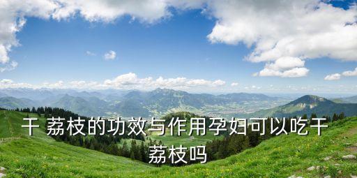干 荔枝的功效與作用孕婦可以吃干 荔枝嗎