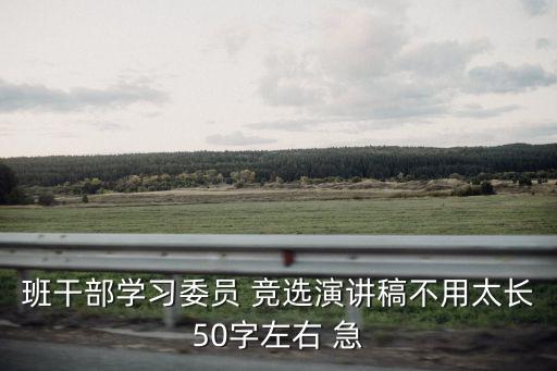 班干部學習委員 競選演講稿不用太長50字左右 急