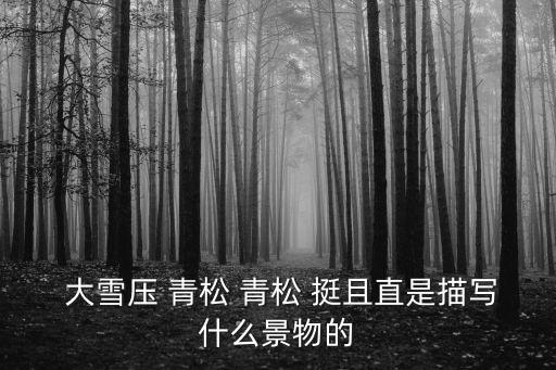 大雪壓青松青松挺且直,第二集:大雪壓彎了青松