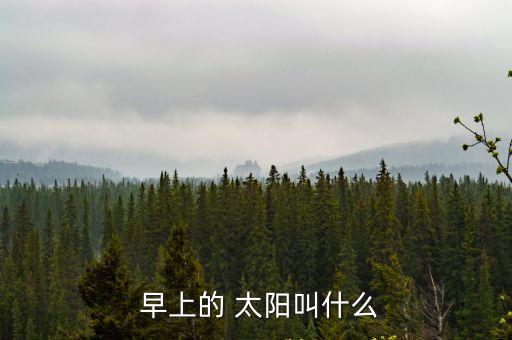 早上的太陽(yáng)叫什么,太陽(yáng)習(xí)語(yǔ)解釋:早上剛出來(lái)的太陽(yáng)