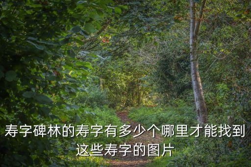 壽字碑林的壽字有多少個哪里才能找到這些壽字的圖片