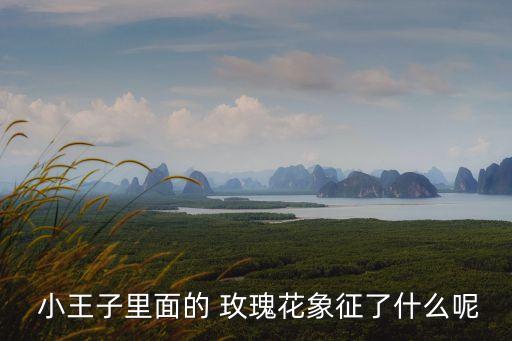 小王子和玫瑰花,小王子被狐貍精精靈糾纏不清楚要求什么