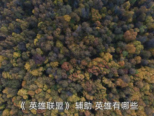 輔助英雄,王者榮耀輔助-1/還有很多!