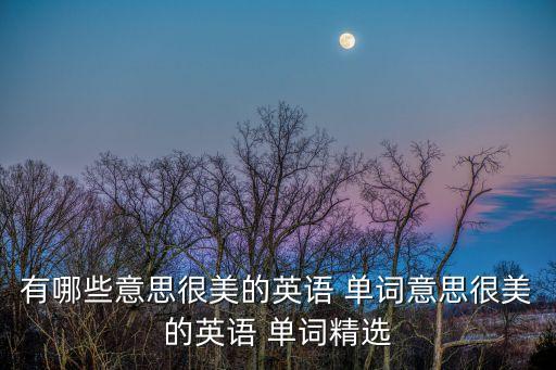 有哪些意思很美的英語 單詞意思很美的英語 單詞精選