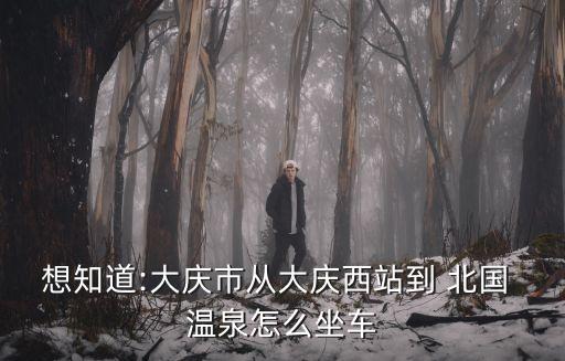 想知道:大慶市從大慶西站到 北國(guó) 溫泉怎么坐車