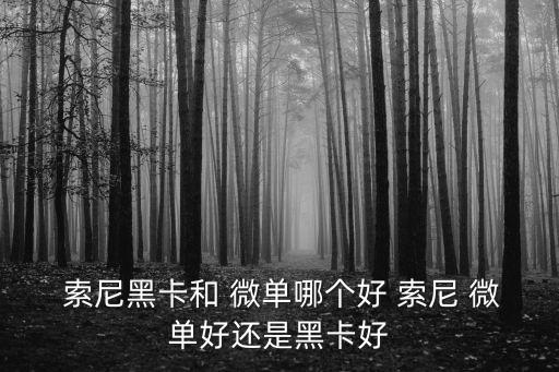  索尼黑卡和 微單哪個好 索尼 微單好還是黑卡好