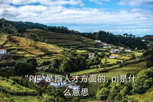 pi什么意思,英國牛頭人隊pi用于支付貨款或預付款