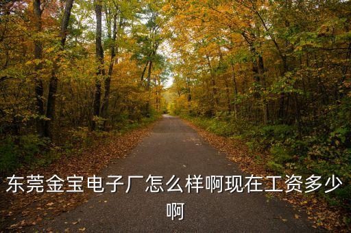 東莞金寶電子廠怎么樣啊現在工資多少啊