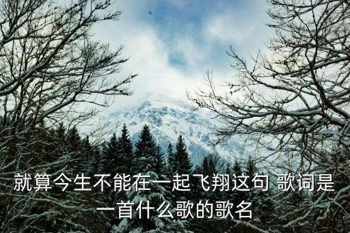 就算今生不能在一起飛翔這句 歌詞是一首什么歌的歌名