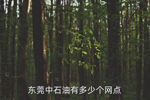 東莞中石油有多少個(gè)網(wǎng)點(diǎn)