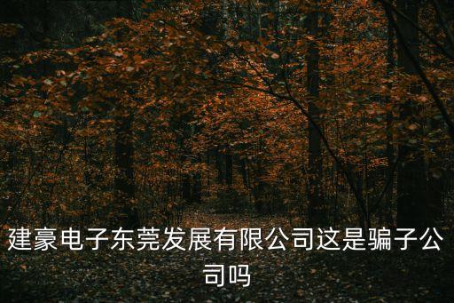 建豪電子東莞發展有限公司這是騙子公司嗎