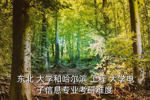 東北工程大學,東北大學學府名單出爐