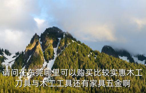 請(qǐng)問(wèn)在東莞哪里可以購(gòu)買比較實(shí)惠木工刀具與木工工具還有家具五金啊