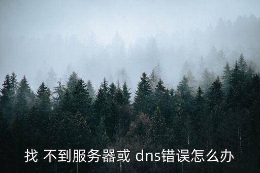 找 不到服務器或 dns錯誤怎么辦