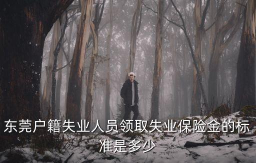 東莞失業(yè)保險(xiǎn)領(lǐng)取年限，東莞戶(hù)籍失業(yè)人員領(lǐng)取失業(yè)保險(xiǎn)金的標(biāo)準(zhǔn)是多少