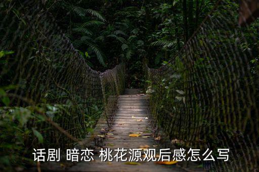  話劇 暗戀 桃花源觀后感怎么寫