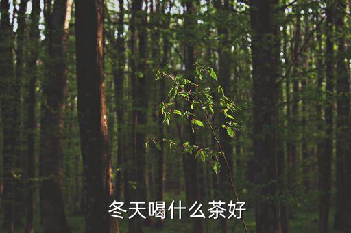 冬天喝什么,加糖加奶紅茶好處多營養(yǎng)好!