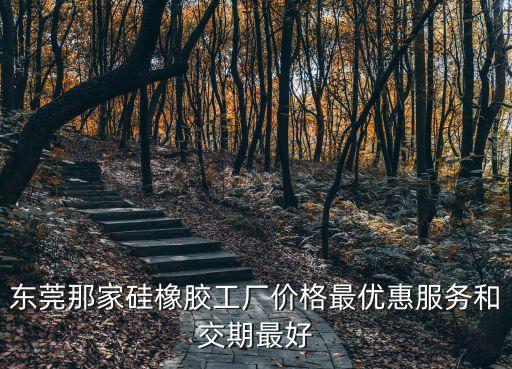 東莞那家硅橡膠工廠價格最優(yōu)惠服務(wù)和交期最好