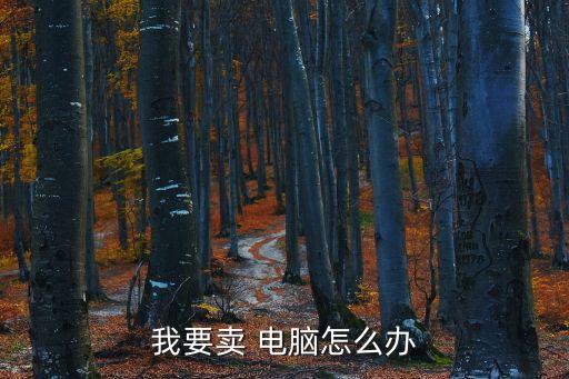 我要賣 電腦怎么辦