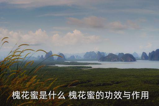 槐花蜜的功效與作用,槐花蜂蜜的功效與作用