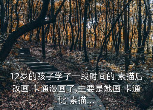 12歲的孩子學了一段時間的 素描后改畫 卡通漫畫了,主要是她畫 卡通比 素描...