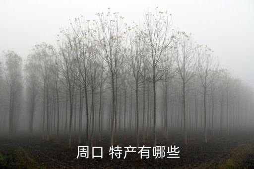  周口 特產有哪些