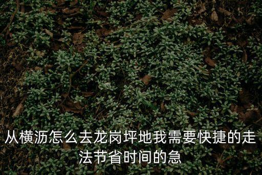 東莞橫瀝到龍崗坂田，從橫瀝到龍崗