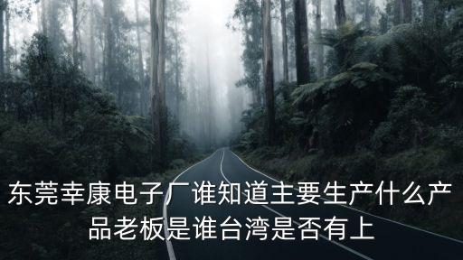 東莞幸康電子廠誰知道主要生產(chǎn)什么產(chǎn)品老板是誰臺(tái)灣是否有上