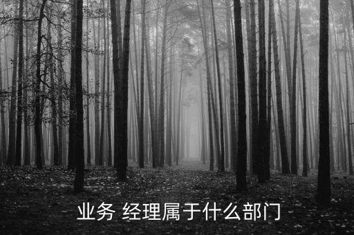  業務 經理屬于什么部門