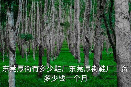 東莞厚街有多少鞋廠東莞厚街鞋廠工資多少錢一個月