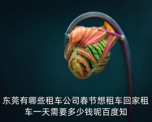 東莞有哪些租車公司春節想租車回家租車一天需要多少錢呢百度知