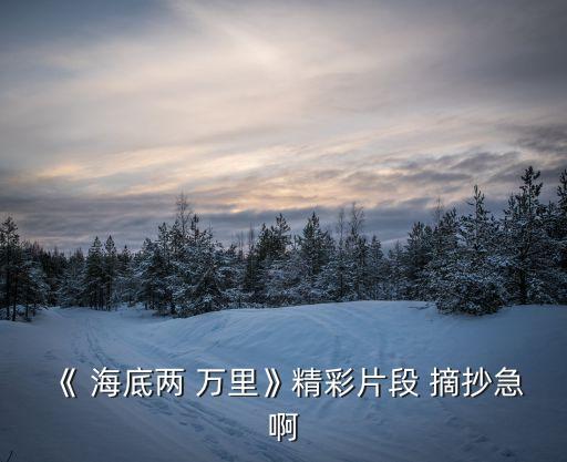 海底兩萬里摘抄,海底兩個萬里每章好詞好句摘抄