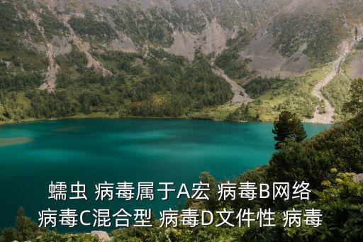  蠕蟲 病毒屬于A宏 病毒B網絡 病毒C混合型 病毒D文件性 病毒