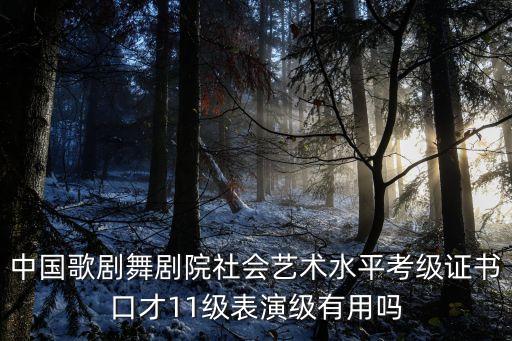 中國歌劇舞劇院社會藝術水平考級證書口才11級表演級有用嗎