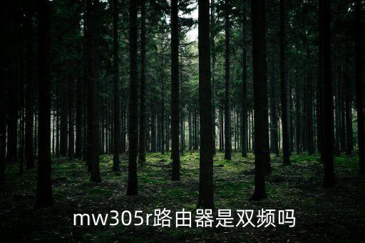 mw305r,雙頻無線路由器成為未來主流方向