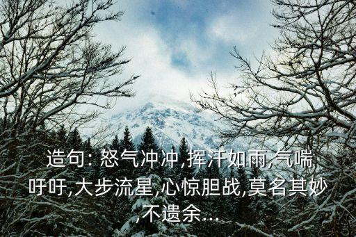 怒氣沖沖造句,你準備好了嗎?