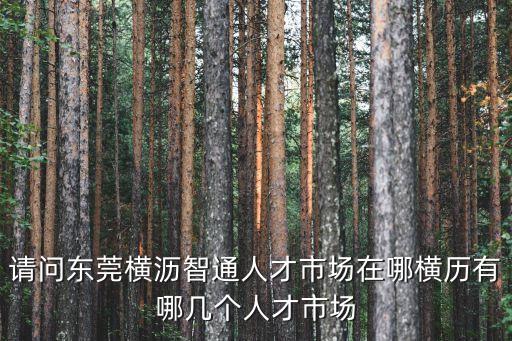 請問東莞橫瀝智通人才市場在哪橫歷有哪幾個人才市場